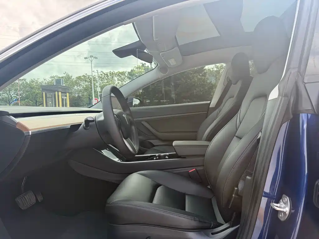 Model 3 Long Range Rear-Wheel Drive 2020款