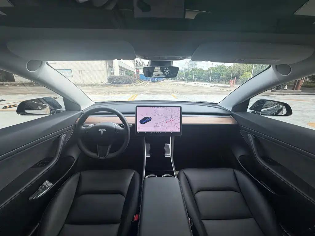 Model 3 Long Range Rear-Wheel Drive 2020款