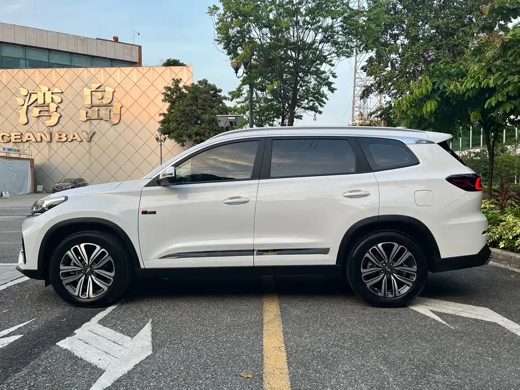 Ruihu 8 2021款 Kunpeng Edition 390TGDI Automatic Zhufeng Version