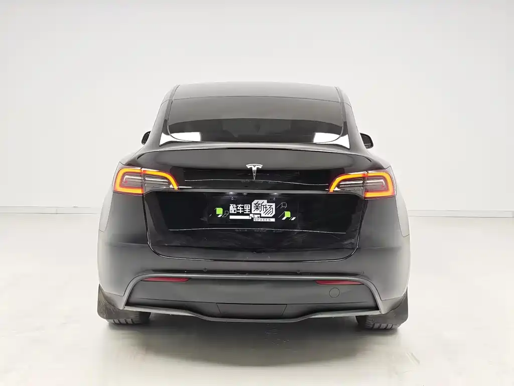 Model Y 2022 Rear-Wheel Drive Edition