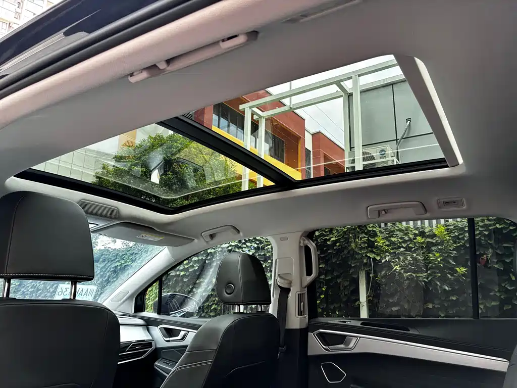 Lan Jin 2023 380TSI 4x4 Luxury Ji Jing Edition Pro