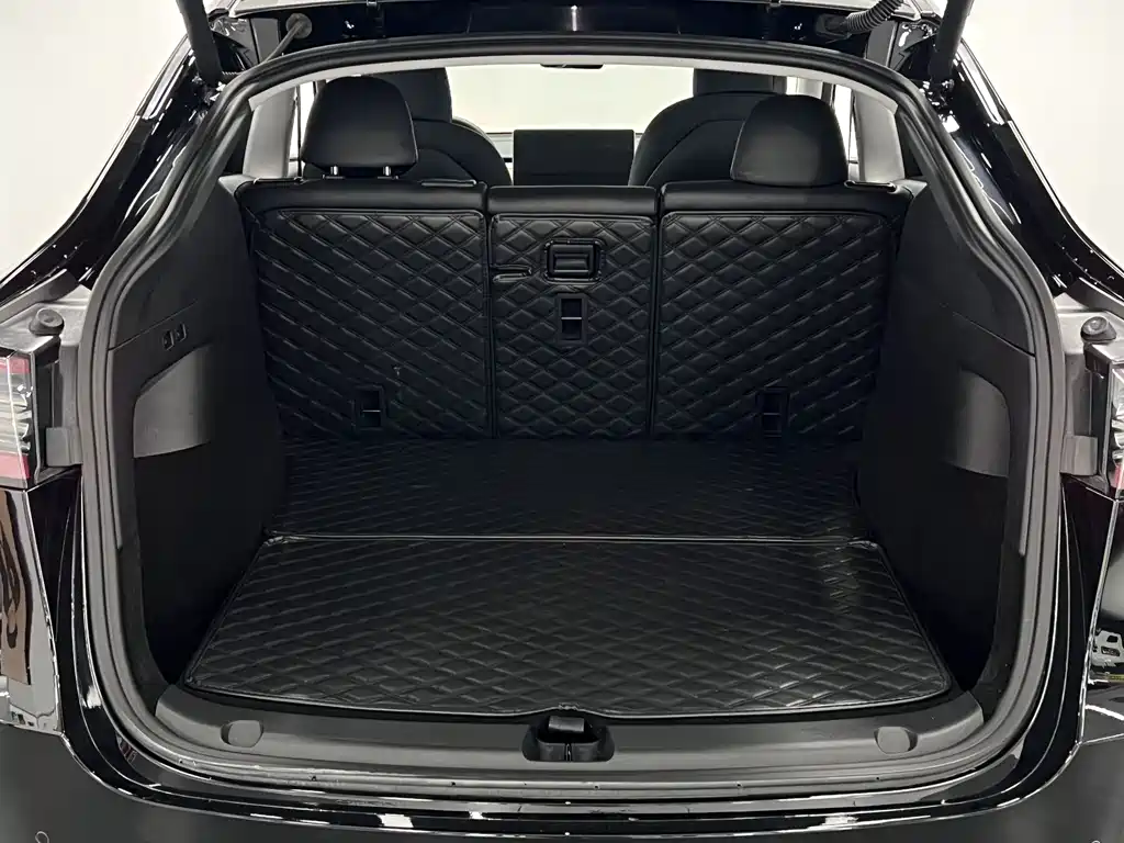 Model Y 2021 Standard Range Rear-Wheel Drive Edition