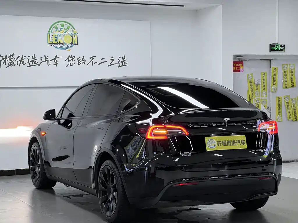 Model Y 2021 Standard Range Rear-Wheel Drive Edition