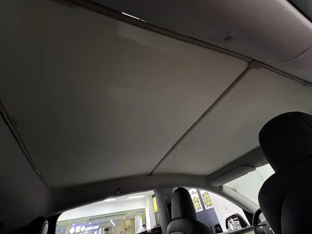 Model Y 2021 Standard Range Rear-Wheel Drive Edition