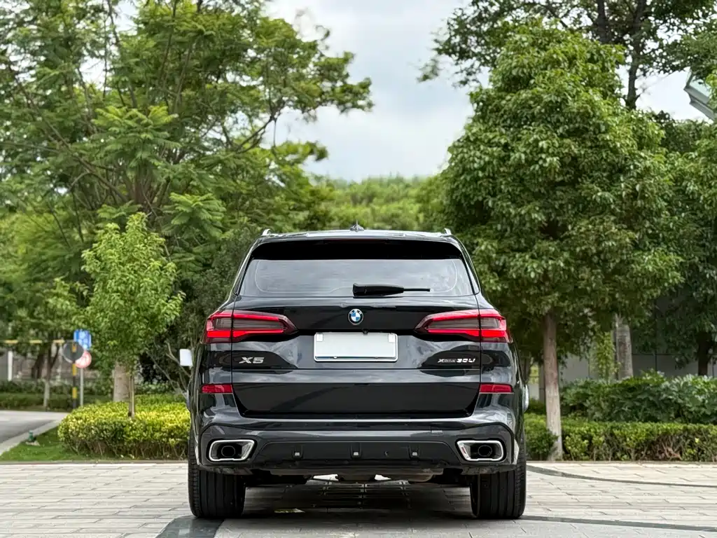 BMW X5 2022 xDrive 30Li M Sport Package