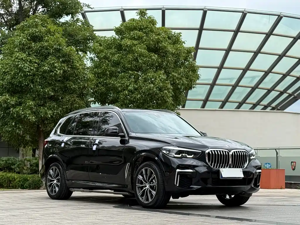 BMW X5 2022 xDrive 30Li M Sport Package