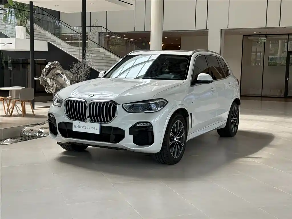 BMW X5 Imported 2019 Model xDrive40i M Sport Package