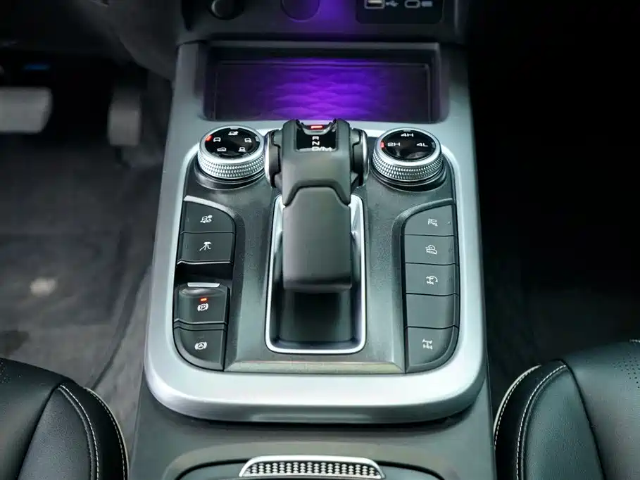 Tank 300 2021 Challenge Edition 2.0T