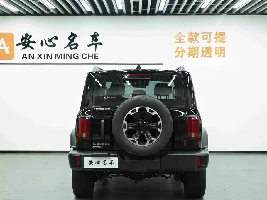 Tank 300 New Energy 2025 Model Hi4-T 37.1kWh
