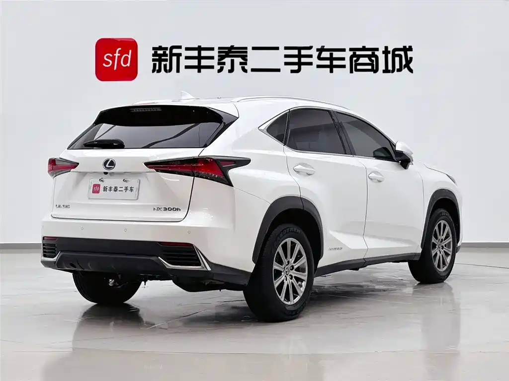 Lexus NX 2020 300h Front-wheel Drive Fengshang Edition National VI