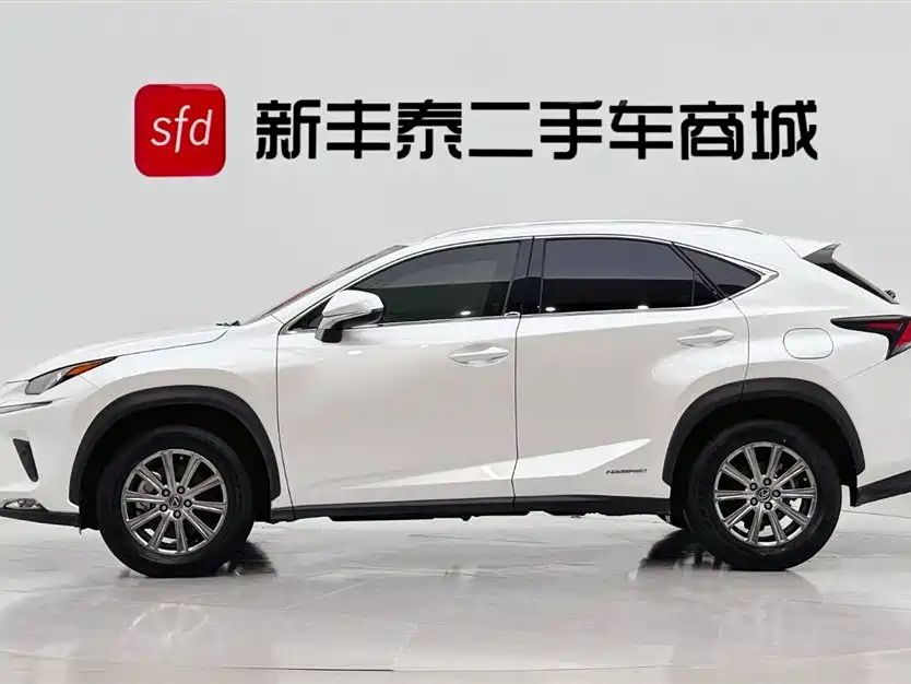 Lexus NX 2020 300h Front-wheel Drive Fengshang Edition National VI