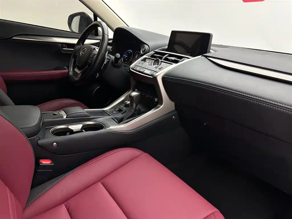 Lexus NX 2020 300h Front-wheel Drive Fengshang Edition National VI