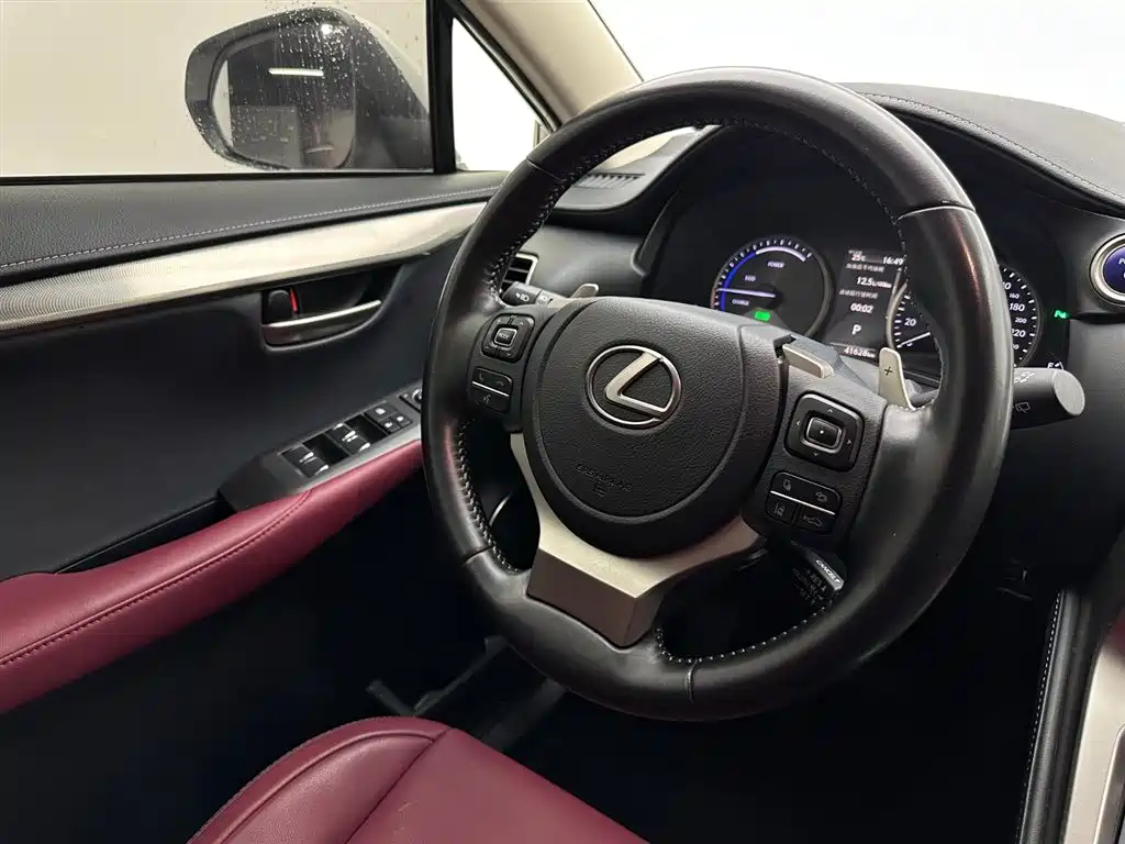 Lexus NX 2020 300h Front-wheel Drive Fengshang Edition National VI