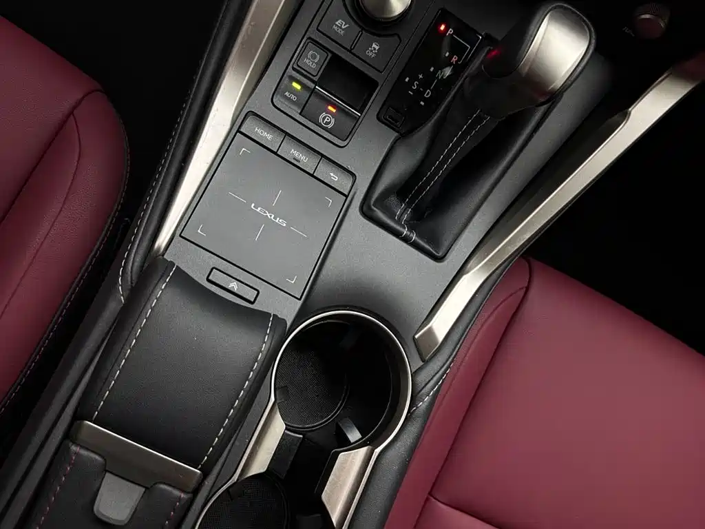 Lexus NX 2020 300h Front-wheel Drive Fengshang Edition National VI
