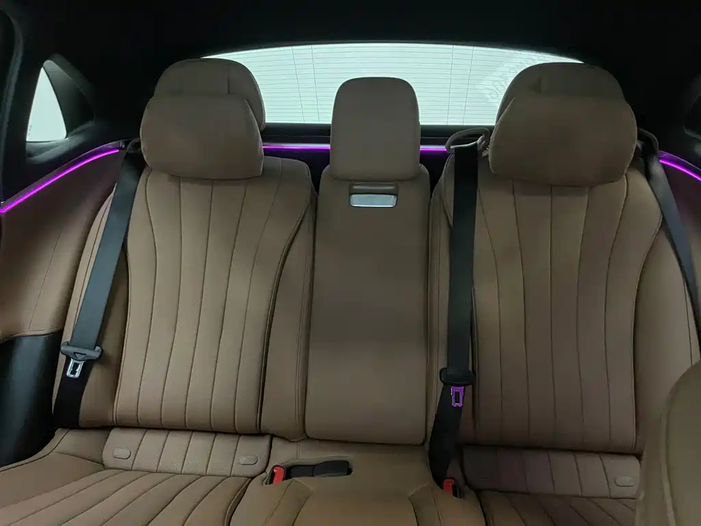Mercedes-Benz E-Class 2025 E 300 L Luxury Edition