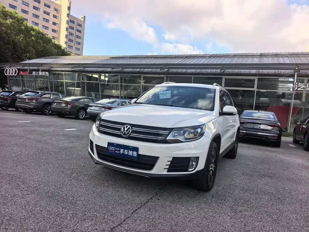 Touguan 2013 1.8TSI Automatic Two-wheel Drive Luxury Edition