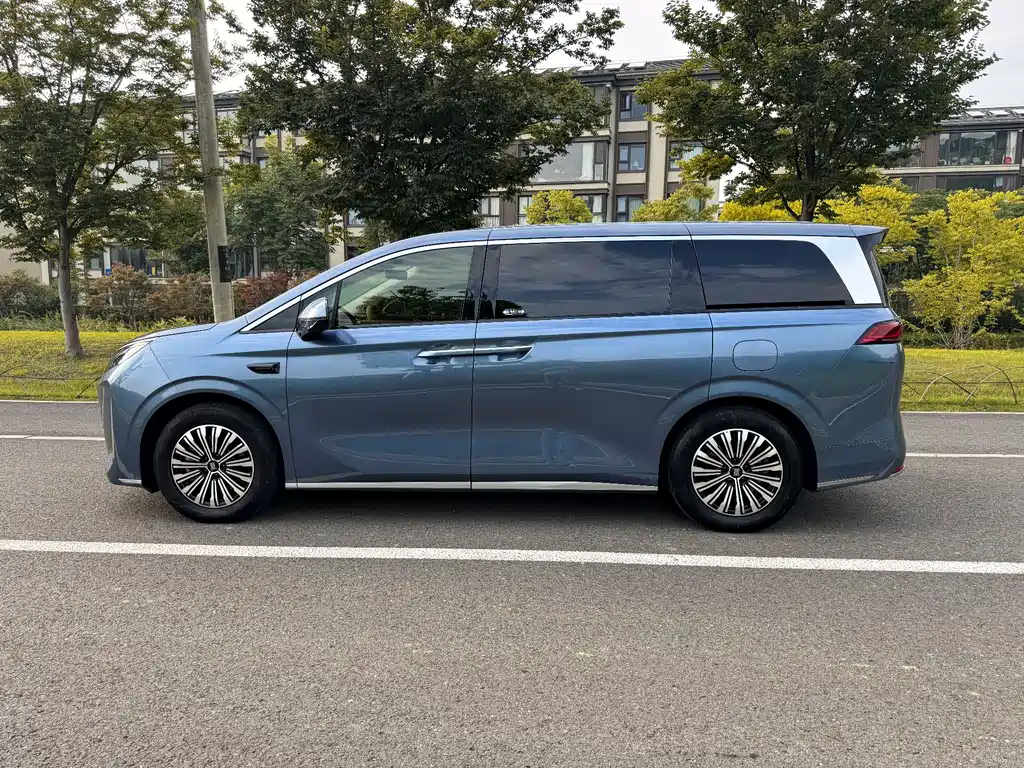 Xia 2025 Model DM-i 1.5T 180km Excellence Edition