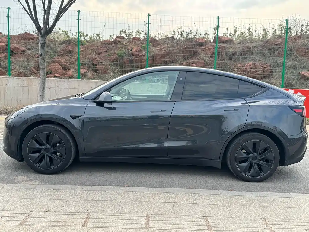 Model Y 2024 Rear-Wheel Drive Edition
