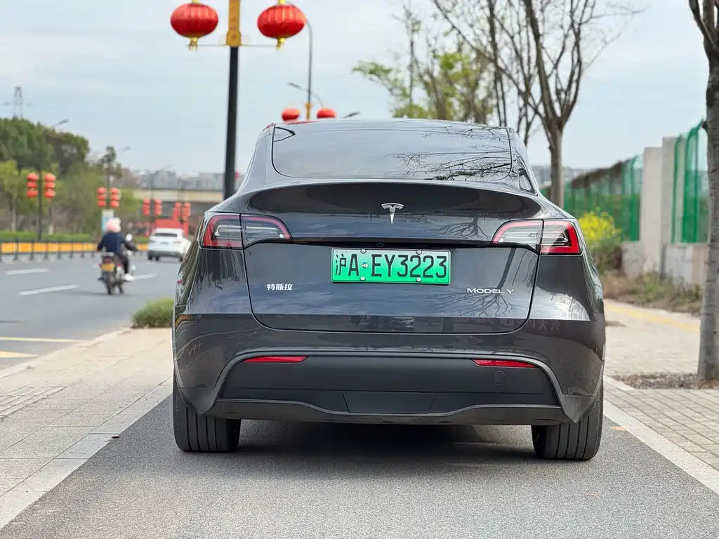 Model Y 2024 Rear-Wheel Drive Edition
