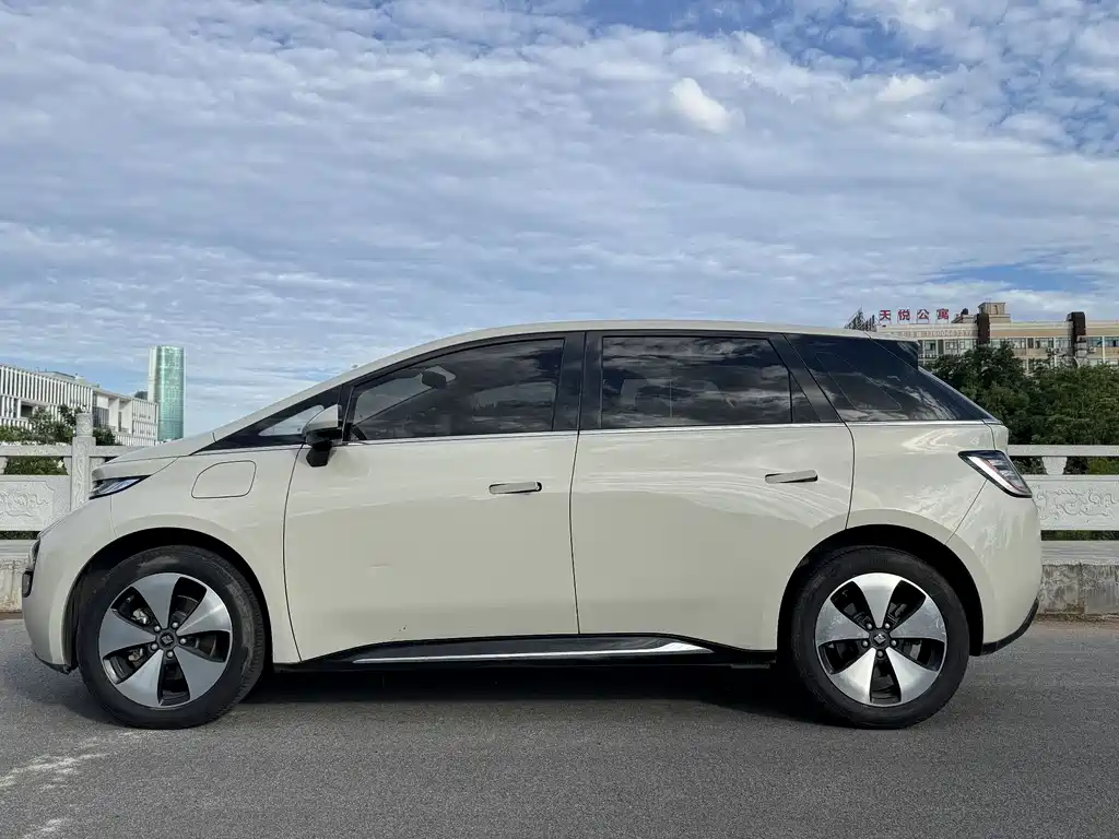 Baojun Yunduo 2023 Model 460 Max