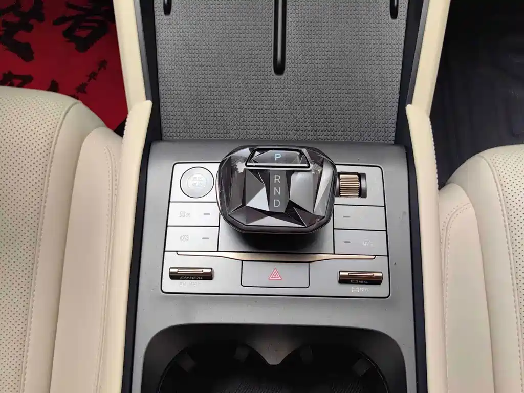 Qin L 2024 DM-i 80KM Leading Edition