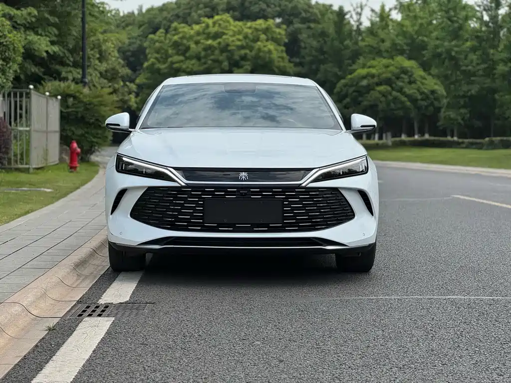 Qin L 2024 DM-i 120KM Leading Edition