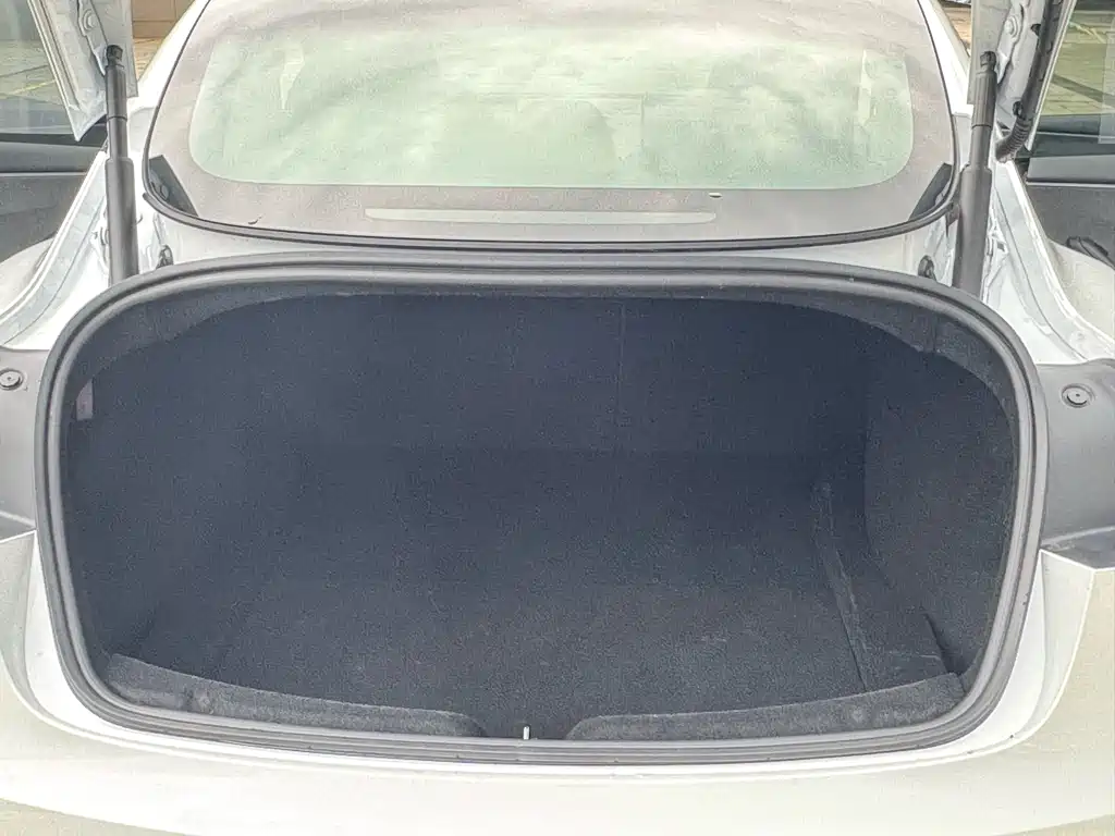 Model 3 Long Range Rear-Wheel Drive 2025 Edition