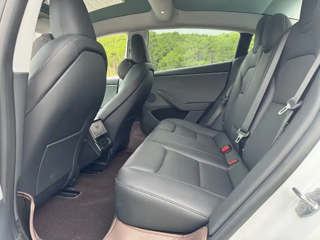 Model 3 Long Range Rear-Wheel Drive 2025 Edition