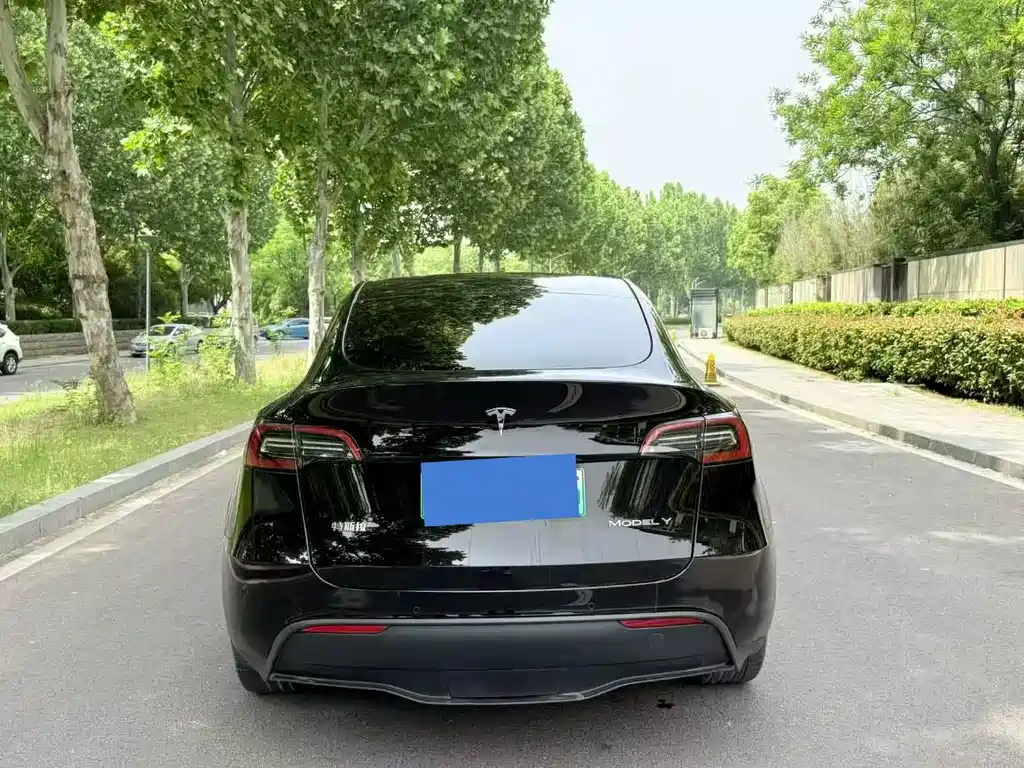 Model Y 2022 Rear-Wheel Drive Edition