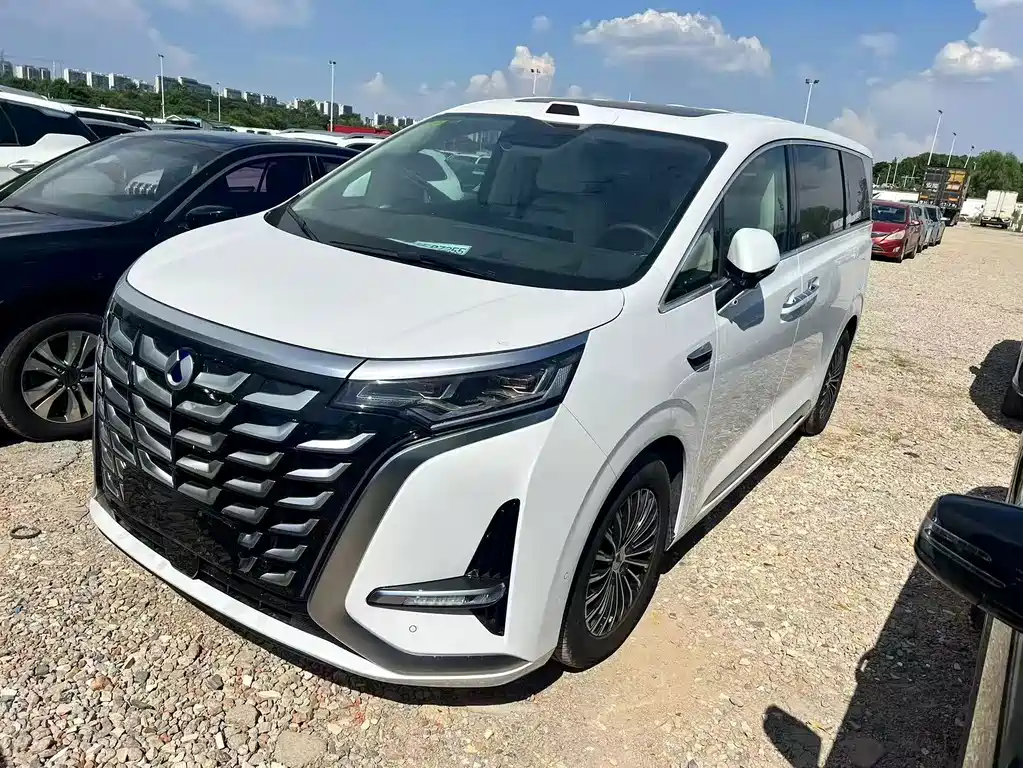 Tengri D9 2025 Model DM-i Smart Drive Edition 1020 All-Wheel Drive Flagship Type