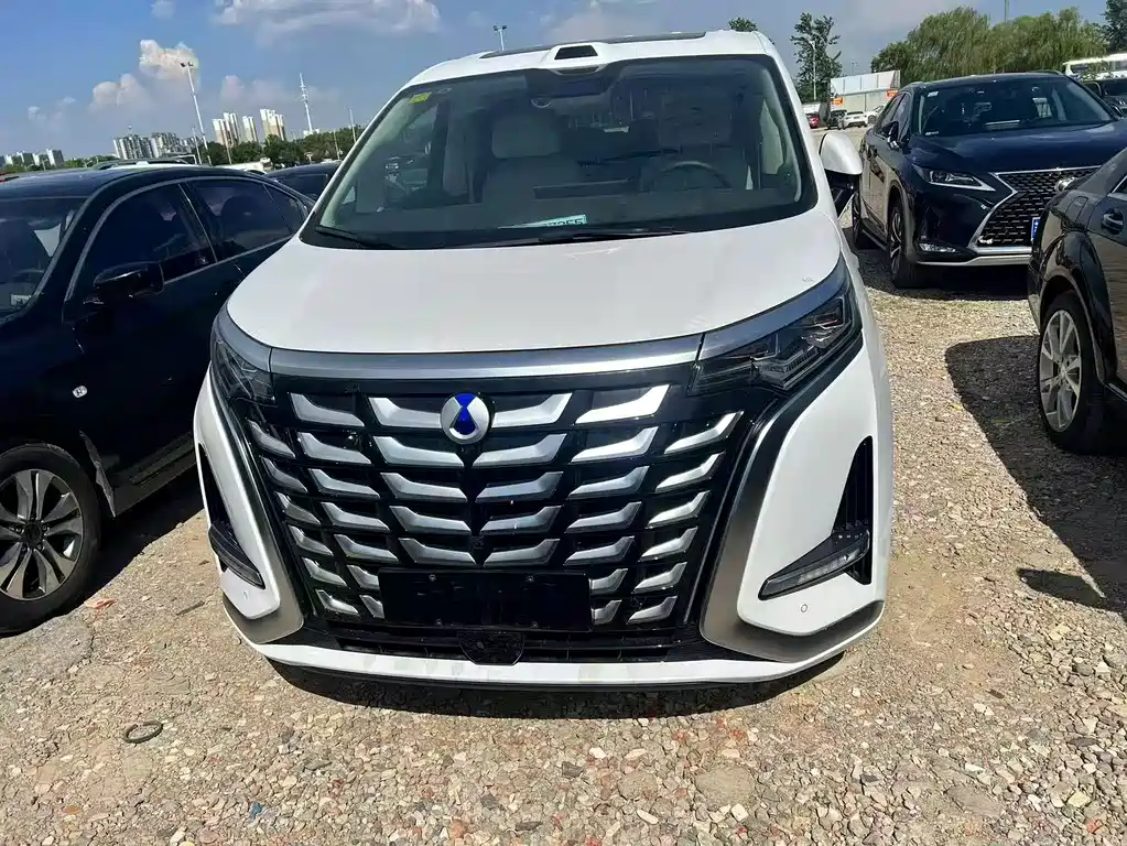 Tengri D9 2025 Model DM-i Smart Drive Edition 1020 All-Wheel Drive Flagship Type