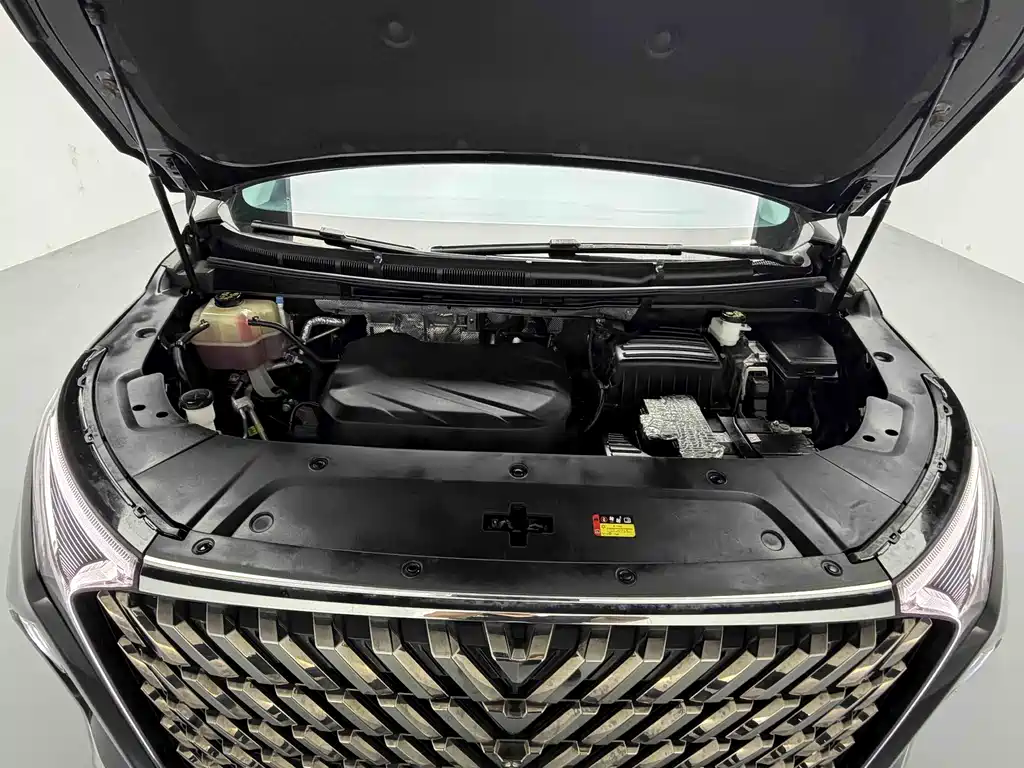Dongfeng Fengguang G90 2022 2.0T Star Cloud 7-seat Edition