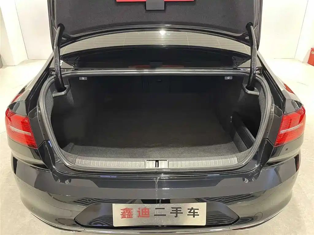 Magotan 2019 330TSI DSG Luxury Edition National VI