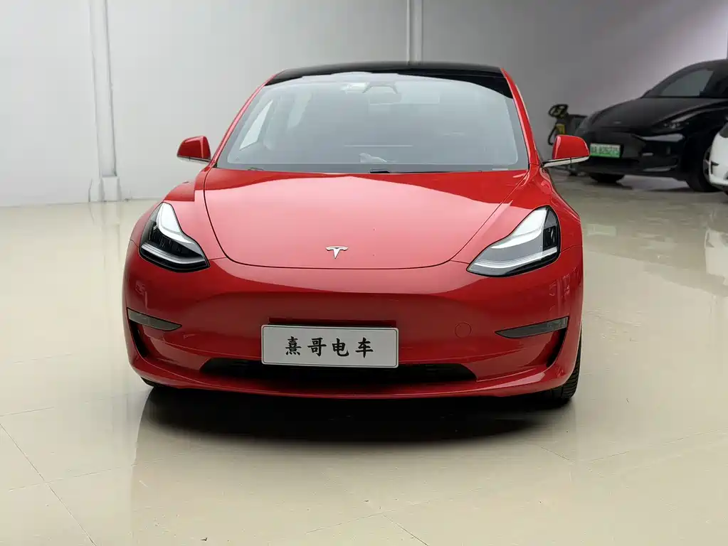 Model 3 Long Range Rear-Wheel Drive 2019 Import Edition