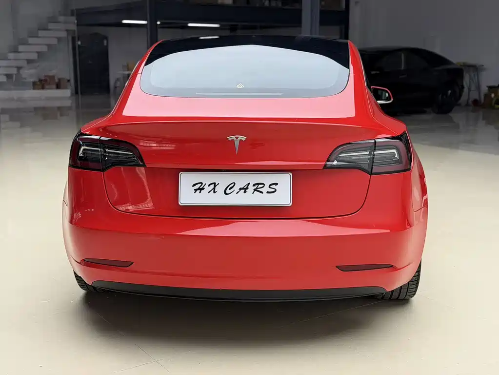 Model 3 Long Range Rear-Wheel Drive 2019 Import Edition