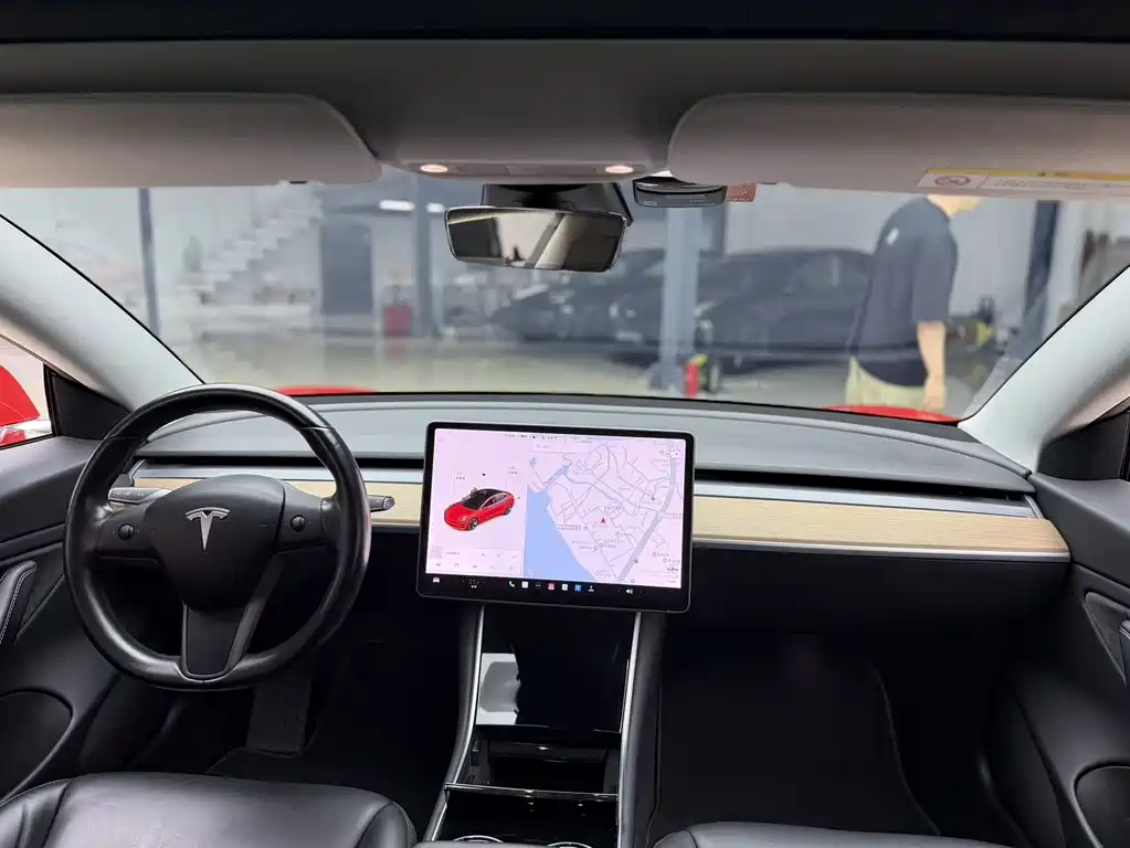 Model 3 Long Range Rear-Wheel Drive 2019 Import Edition