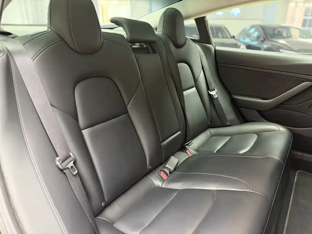 Model 3 Long Range Rear-Wheel Drive 2019 Import Edition
