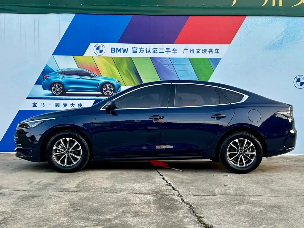 Drive 05 2024 Model Honor Edition DM-i 55KM Luxury Type