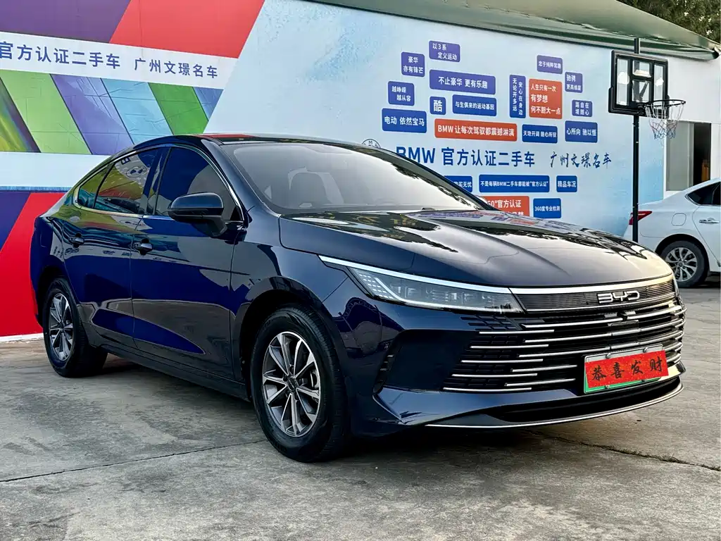 Drive 05 2024 Model Honor Edition DM-i 55KM Luxury Type