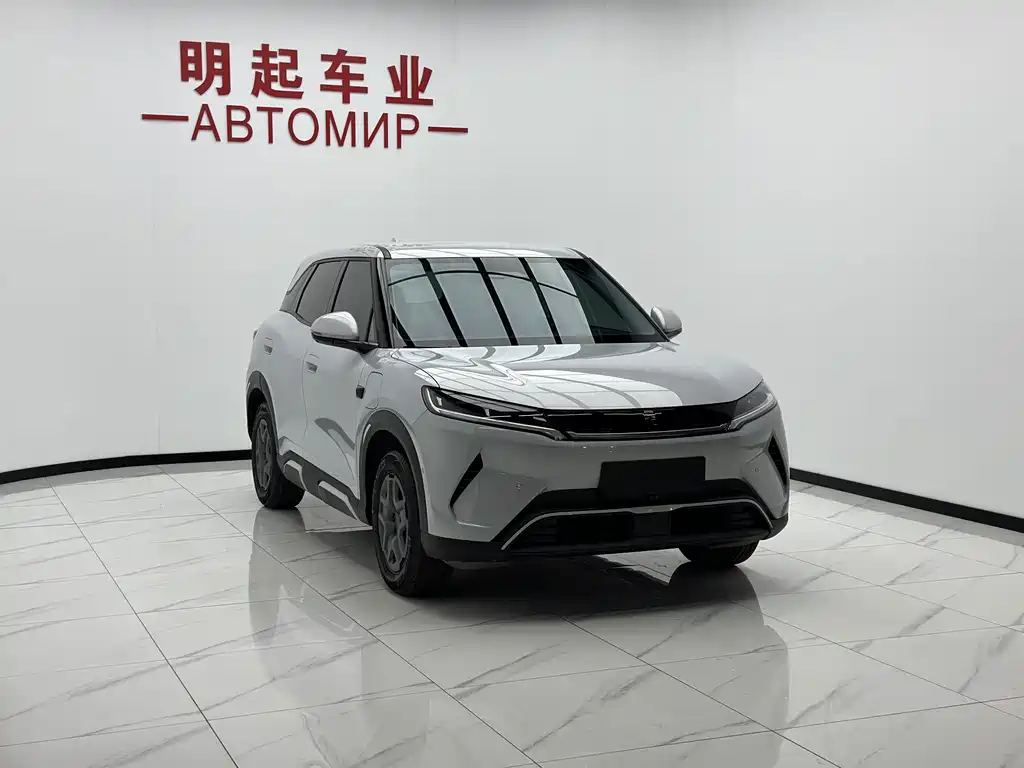 Yuan UP 2025 Edition Smart Drive Version 401KM Vitality Version