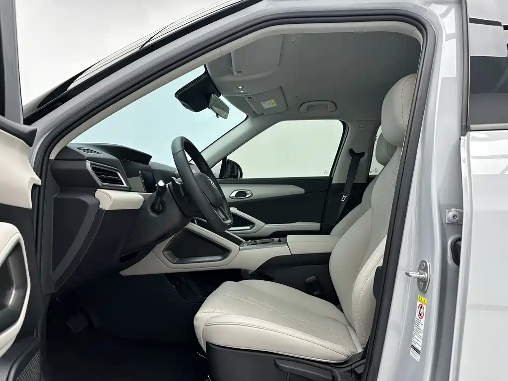 Yuan UP 2025 Edition Smart Drive Version 401KM Vitality Version