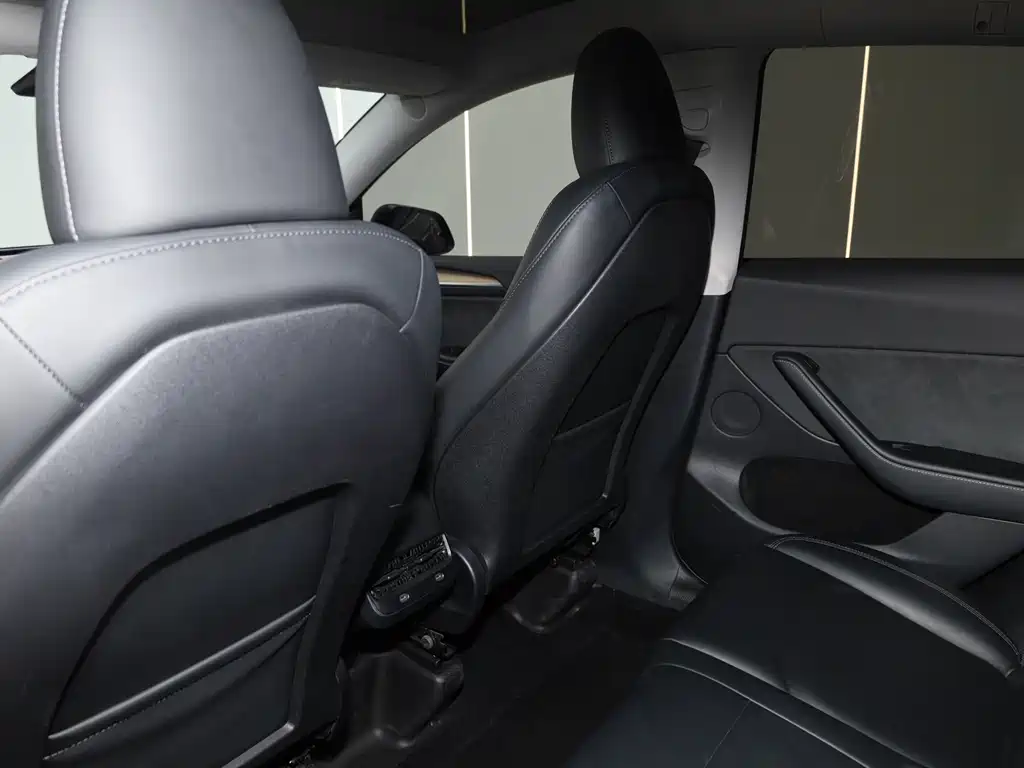 Model Y 2022 Rear-Wheel Drive Edition
