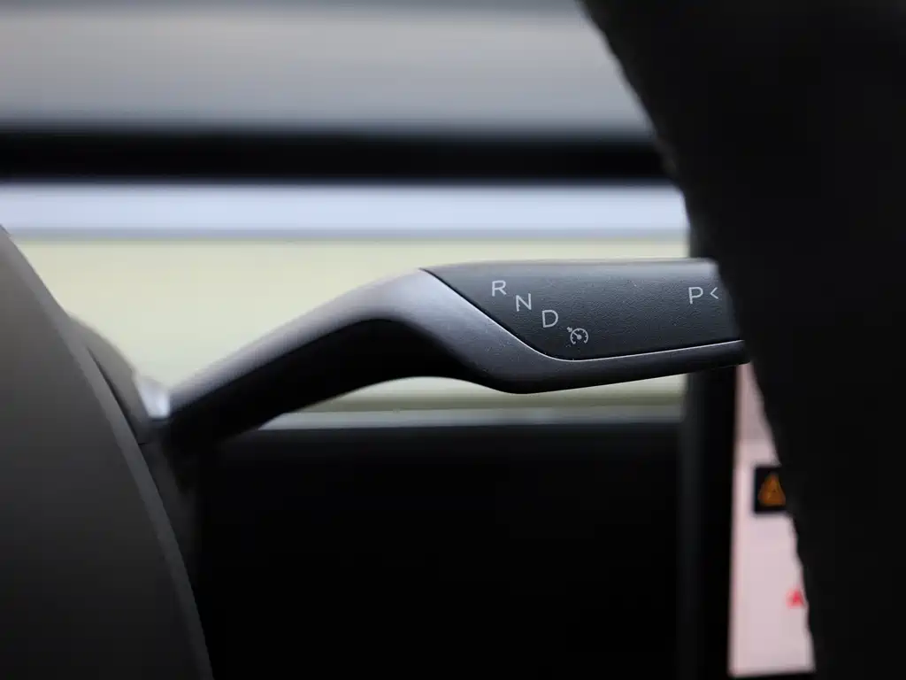 Model Y 2022 Rear-Wheel Drive Edition