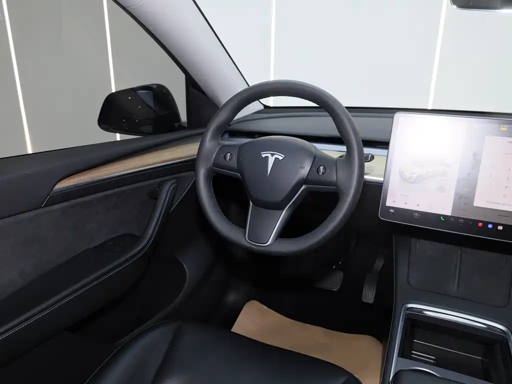 Model Y 2022 Rear-Wheel Drive Edition
