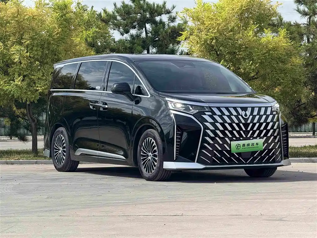 Tengri D9 2024 Model DM-i 1050 Premium Edition