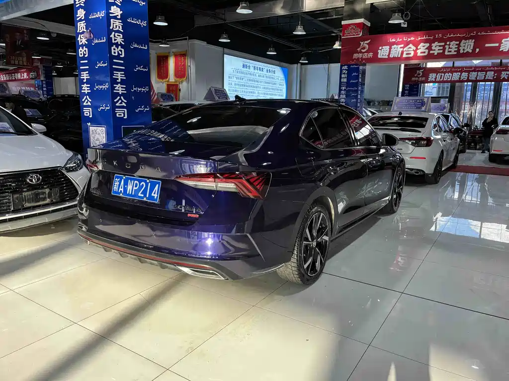Volkswagen Magotan 2021 PRO TSI280 DSG Premium Edition