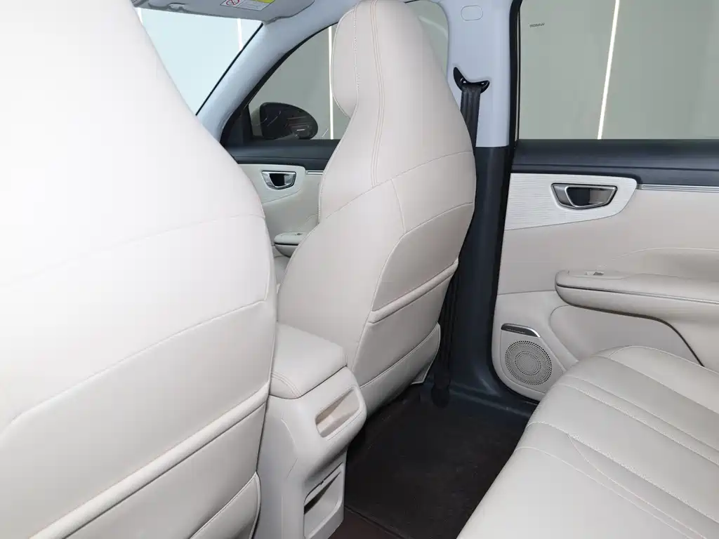 Bingo S 2025 Edition 430km Flagship Model