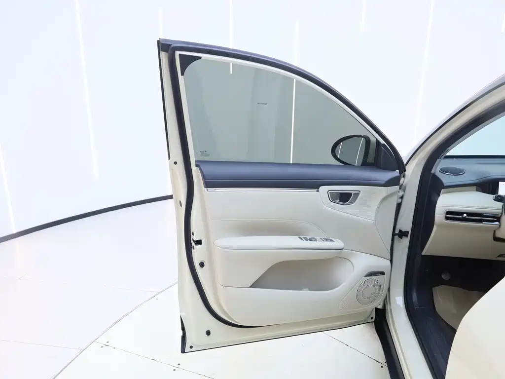 Bingo S 2025 Edition 430km Flagship Model