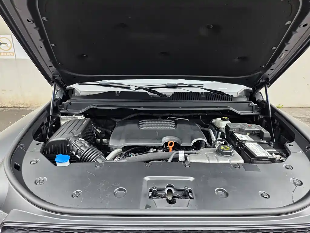 Haval H9 2024 Model 2.0T Gasoline 4WD Extreme Edition