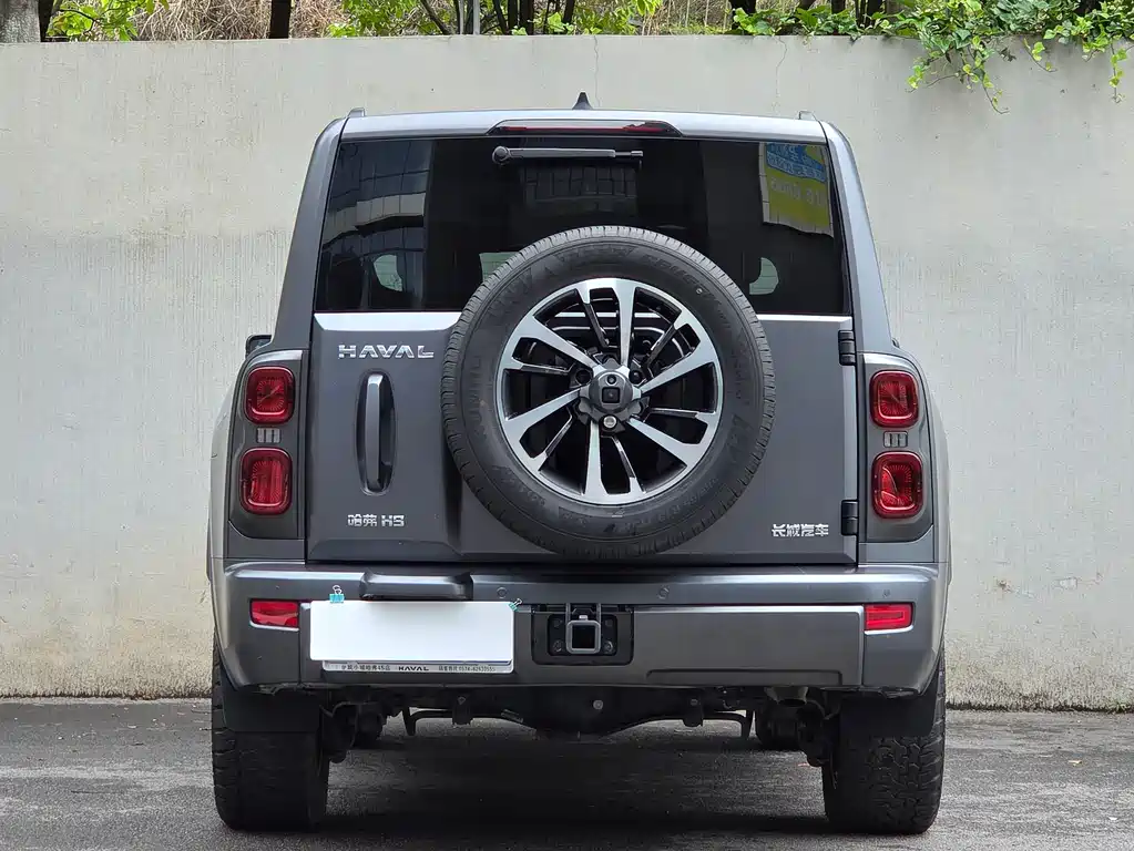 Haval H9 2024 Model 2.0T Gasoline 4WD Extreme Edition